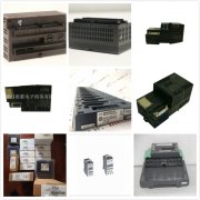 GE IC600BF948P模块